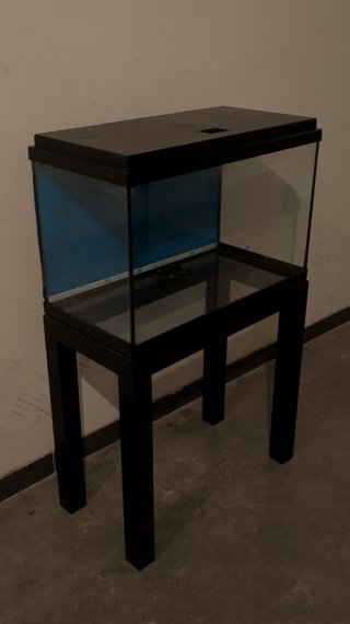 Acuario/Pecera 60L
