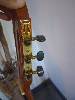 Guitarra Española Clásica