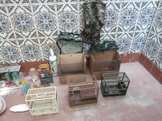 Jaulas y accesorios para pájaros