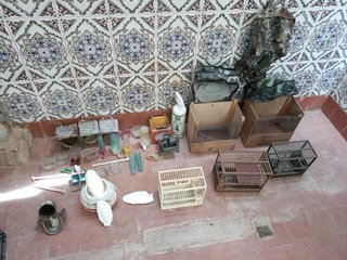 Jaulas y accesorios para pájaros