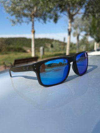 Oakley Holbrook Verde Militar