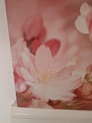Cuadro decorativo flores rosas y blancas