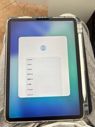iPad Pro 11 2ª Gen