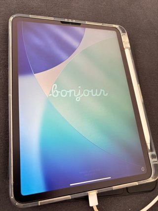 iPad Pro 11 2ª Gen