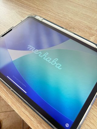 iPad Pro 11 2ª Gen