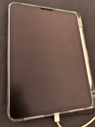 iPad Pro 11 2ª Gen