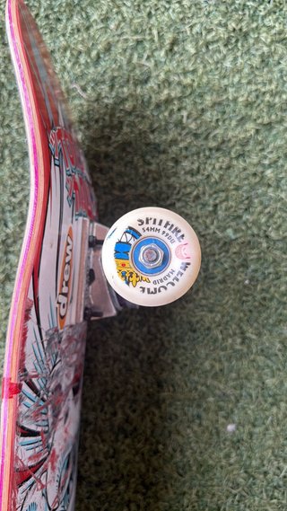 Skate Birdhouse 8.25