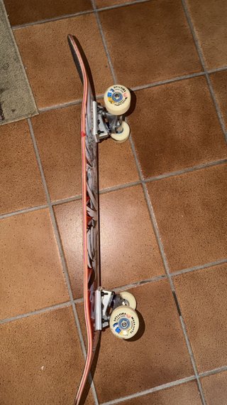 Skate Birdhouse 8.25
