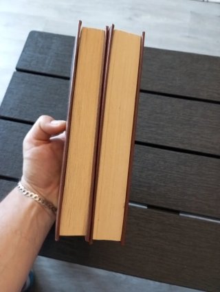 Anna Karenina,due volumi,Lev Tolstoj.