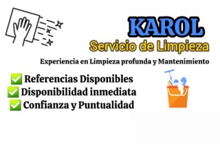 Servicio de Limpieza