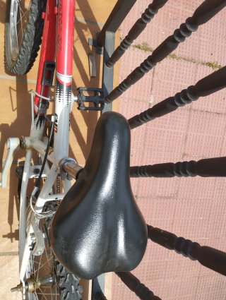 Bicicleta Infantil Kiddy 20