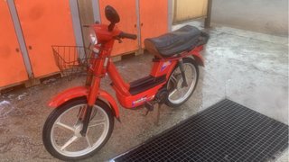 Vespinos azul y roja