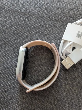 Xiaomi Smart Band 9 Pulsera Actividad Plata 700067