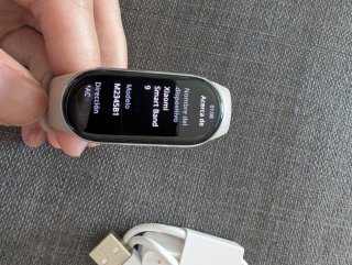Xiaomi Smart Band 9 Pulsera Actividad Plata 700067