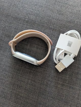 Xiaomi Smart Band 9 Pulsera Actividad Plata 700067