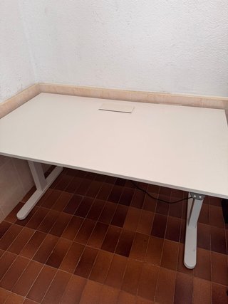 Mesa elevable eléctrica profesional doble motor
