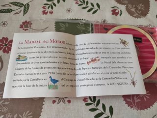 CD La Marjal dels Moros