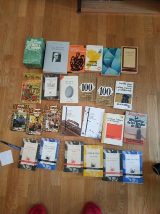 Narrativa española del s.XX (clásicos)