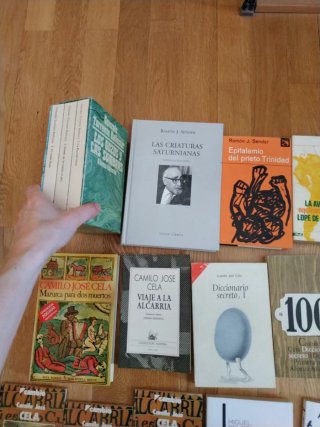 Narrativa española del s.XX (clásicos)