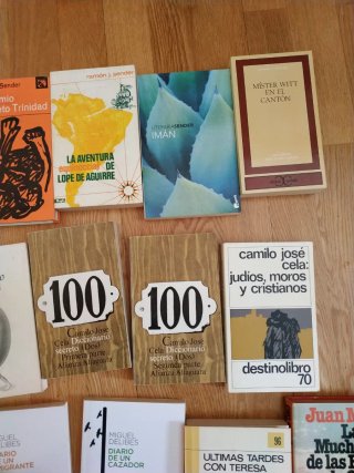 Narrativa española del s.XX (clásicos)