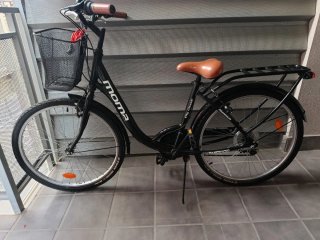Bicicleta paseo