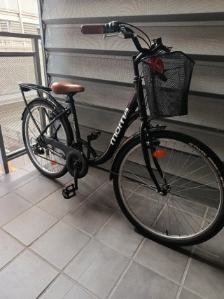 Bicicleta paseo