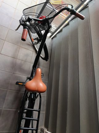Bicicleta paseo