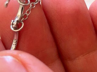 Orecchini Argento 925 Piuma