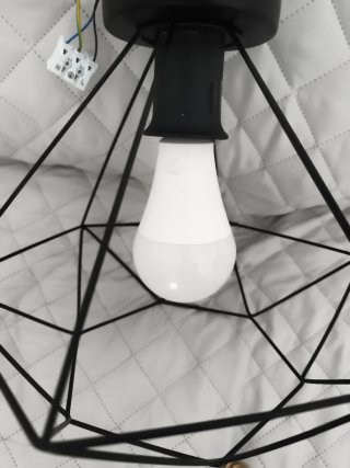Lámpara de techo moderna negra con bombilla.