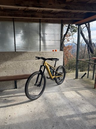Specialized Turbo Levo  SL