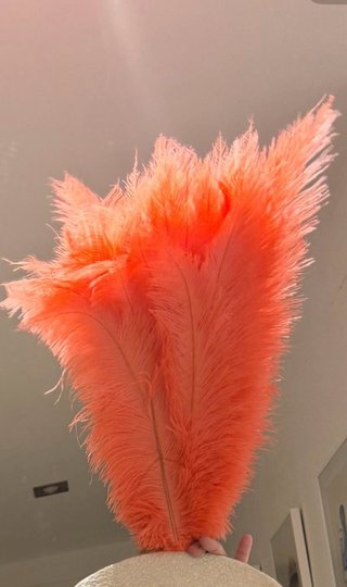 Plumas de Avestruz Coral 50-55 cm