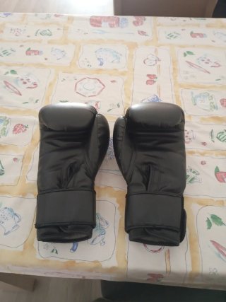 Guantes Boxeo FUJIMAE Basic Negros
