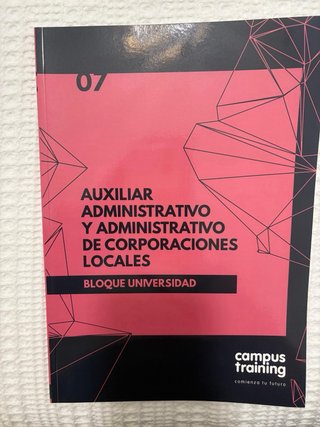 Lote Auxiliar Administrativo Madrid
