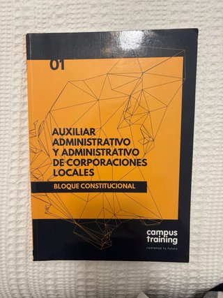 Lote Auxiliar Administrativo Madrid