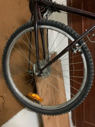 Bicicleta Boomerang Adulto