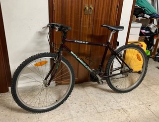 Bicicleta Boomerang Adulto