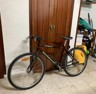 Bicicleta Boomerang Adulto