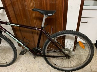 Bicicleta Boomerang Adulto