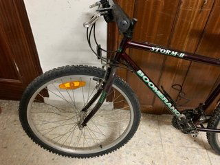 Bicicleta Boomerang Adulto