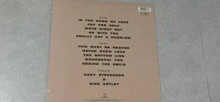 Vinilo Rick Astley Free