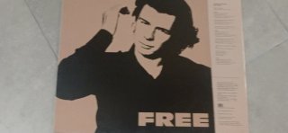 Vinilo Rick Astley Free