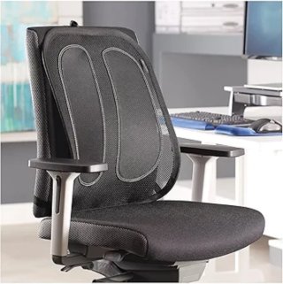Fellowes Respaldo Ergonómico Negro