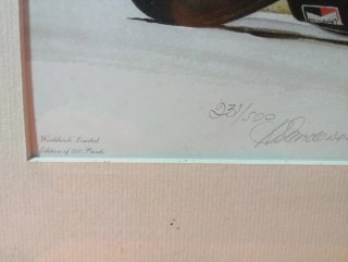 Cuadro Barry Sheene Edición Limitada