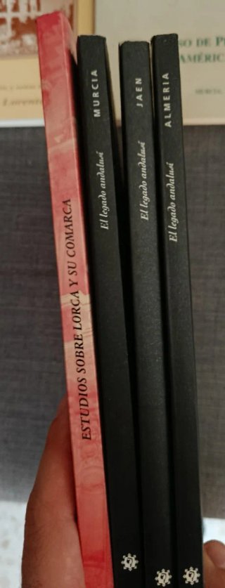 Lote libros - Históricos (diversos)