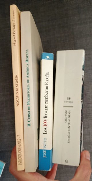 Lote libros - Históricos (diversos)