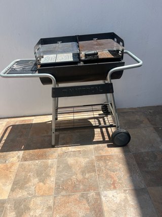 Barbacoa Negra y Plateada