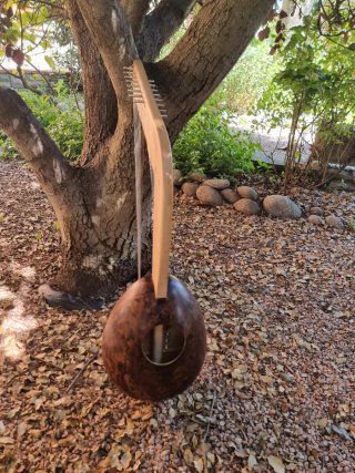 Arpa diatónica estilo africano
