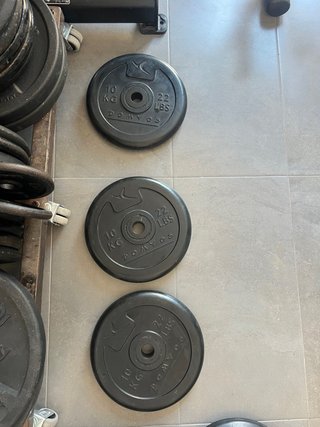 Discos de pesa Domyos 10 kg (22 lbs)