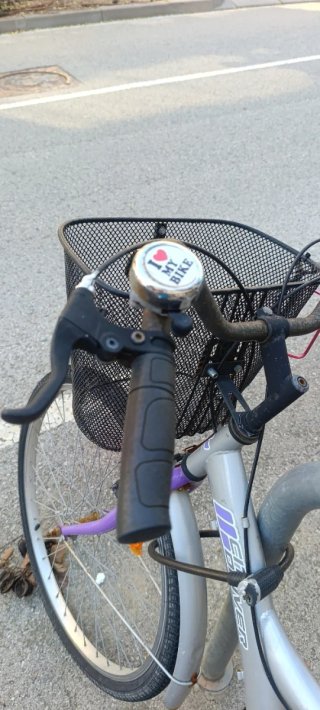 Bicicleta de paseo plateada con cesta