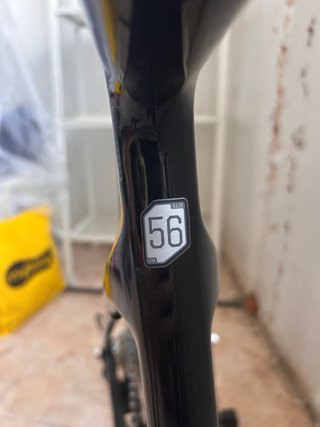 Cannondale Synapse